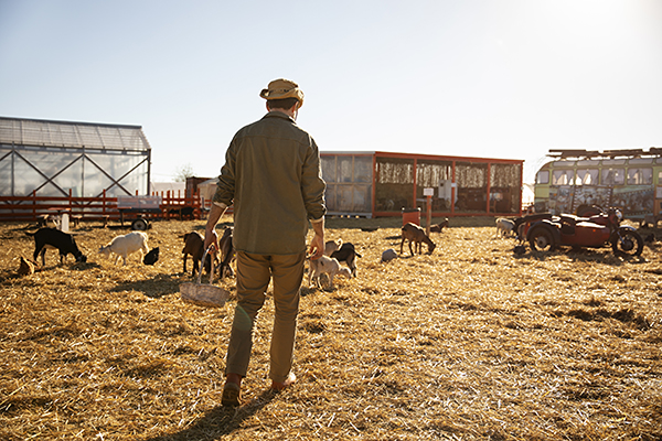 Sécurité exploitation agricole protection biens récoltes