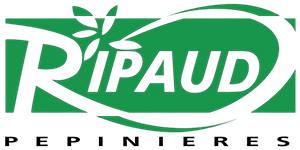 Logo Ripaud Pépinières, partenaire en sécurité de SERELYS SÉCURITÉ en Vendée pour solutions de vidéosurveillance
